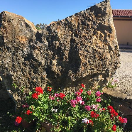 Agriturismo Sechi Campanedda Экстерьер фото